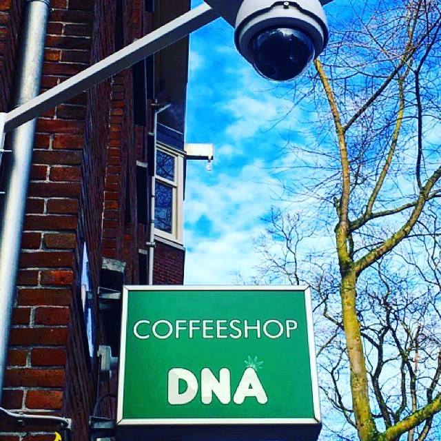 DNA Coffeeshop Amsterdam - Weed Recommend