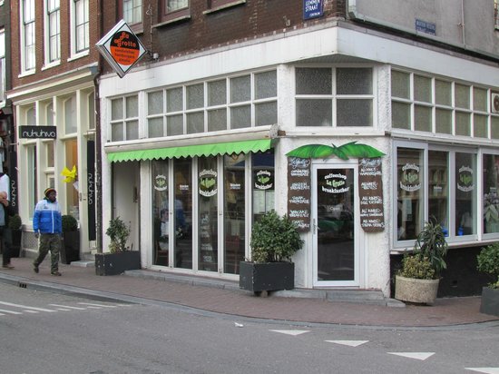 La Grotte Coffeeshop Amsterdam - Weed Recommend