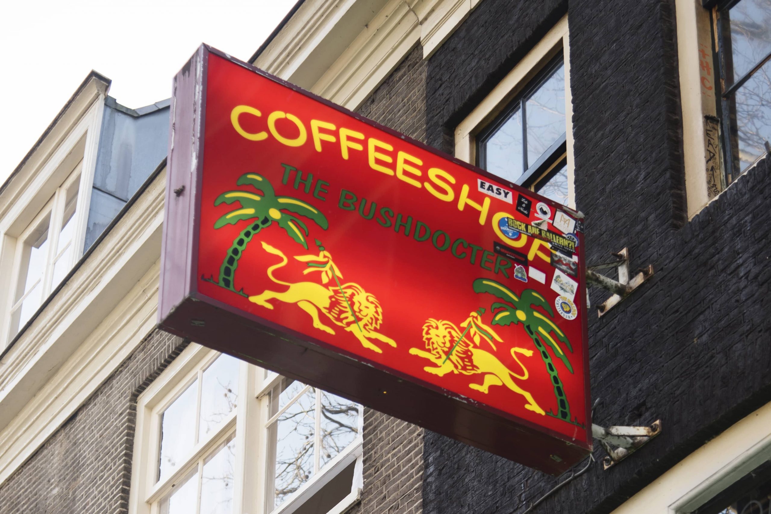 The Bushdocter Coffeeshop Amsterdam - Weed Recommend
