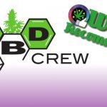 Weed Recommend CBD Crew seeds