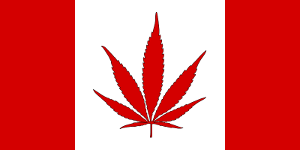 Canadian flag marijuana leaf
