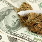 marijuana industry investment